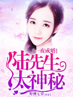 一夜成婚，陆先生太神秘