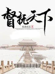 督抚天下