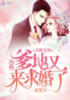 天价宝贝：妈咪，爹地又来求婚了